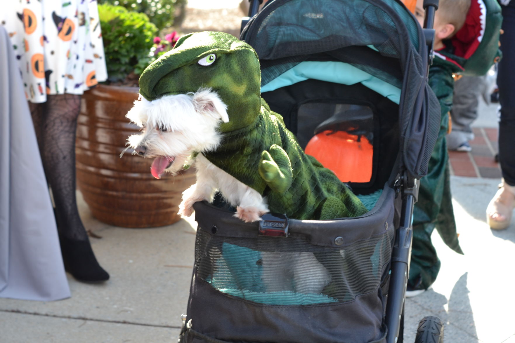 Mooresville Halloween (63).JPG
